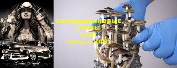 PSILOCYBIN Медвежьегорск