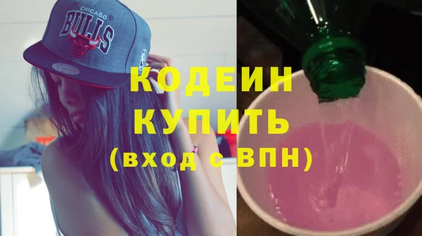 индика Михайлов