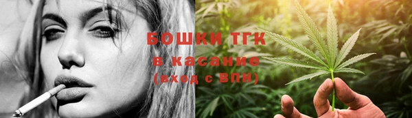 индика Михайлов