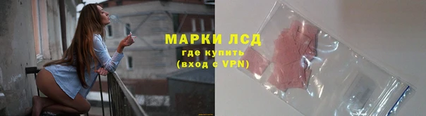 PSILOCYBIN Медвежьегорск