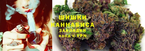 индика Михайлов