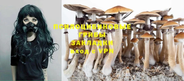 PSILOCYBIN Медвежьегорск