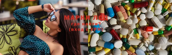 прущие грибы Михайловка