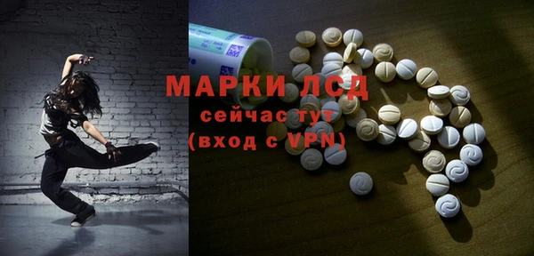 индика Михайлов