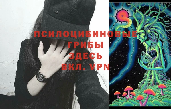кокс Мегион