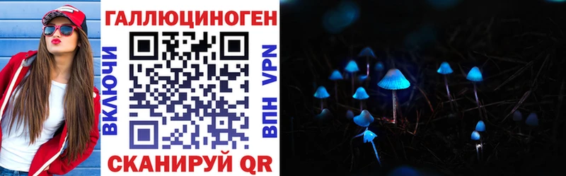 shop формула  Челябинск  Псилоцибиновые грибы Psilocybe 